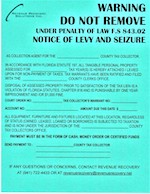 Green Official Levy & Seizure